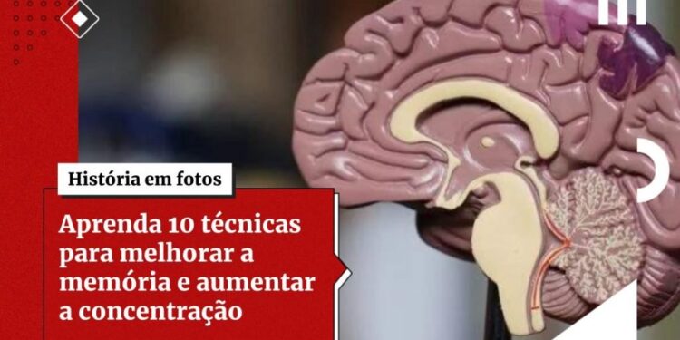 Cientistas desenvolvem interruptor molecular capaz de melhorar memória