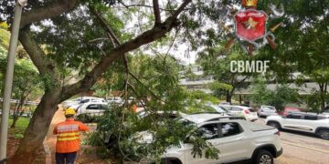 CBMDF realiza corte emergencial para retirar galhos de cima de carros