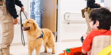 Fofura: cachorros da PRF visitam crianças com câncer em hospital no DF