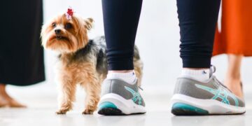 “Nunca aceitou fim da relação”, diz tutora de cadela raptada por ex