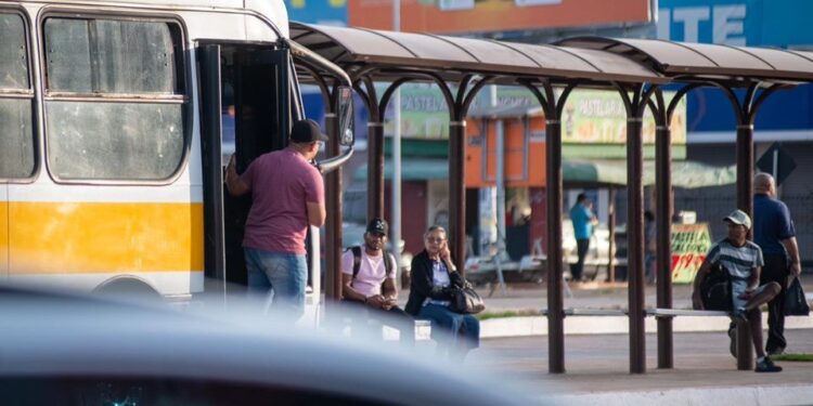 De greve a McCartney: os temas mais buscados no Google em 2023 no DF