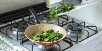 Ora-pro-nóbis: saiba como incluir a planta proteica na alimentação