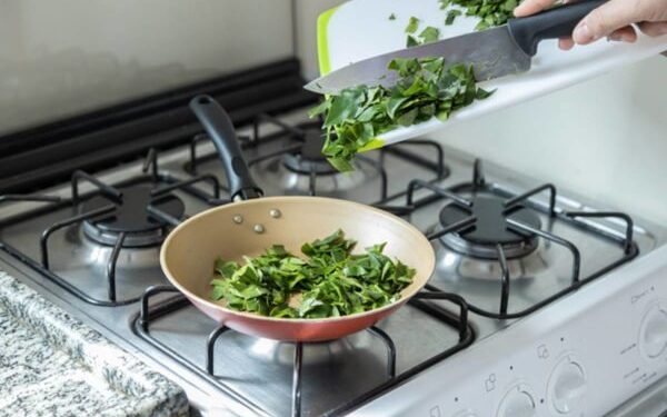 Ora-pro-nóbis: saiba como incluir a planta proteica na alimentação