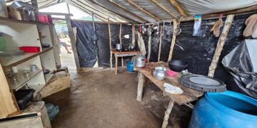 PF desmantela esquema de garimpo ilegal no Pará; uma mulher é presa