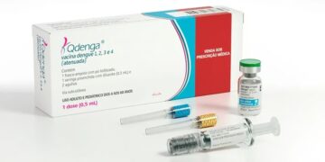 Sintomas de dengue: cuidados durante o verão precisam ser redobrados