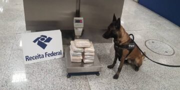 Mais de 3 toneladas de drogas são apreendidas no Aeroporto JK por ano