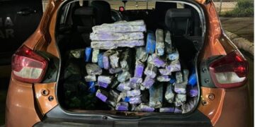 PMGO apreende 118 tabletes de maconha em rodovia do Distrito Federal