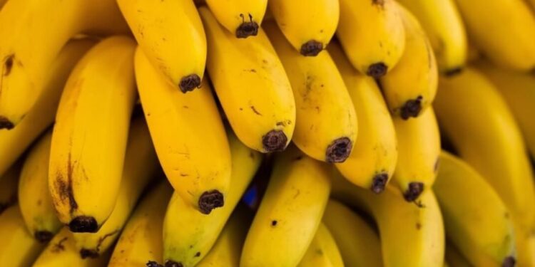 Benefícios da banana compensam suas calorias? Nutris comentam