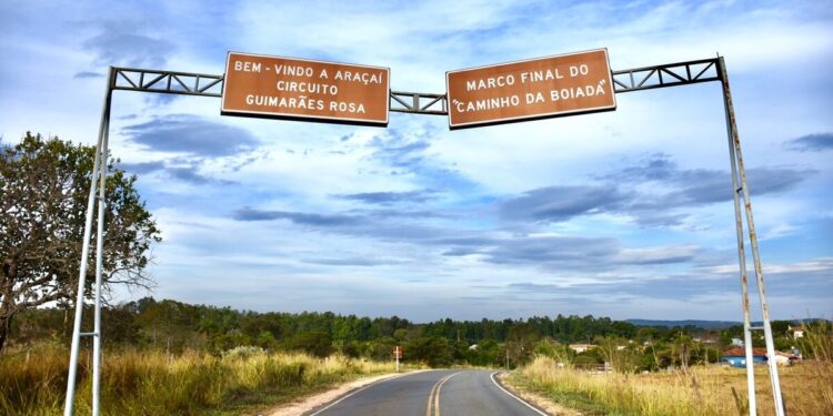 70 anos depois, o cerrado mineiro que inspirou Guimarães Rosa já não é um “oásis”