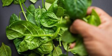 Espinafre aumenta a massa muscular? Saiba propriedades do vegetal