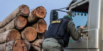 Servidores do Ibama e ICMBio cobram governo Lula e ameaçam parar fiscalização