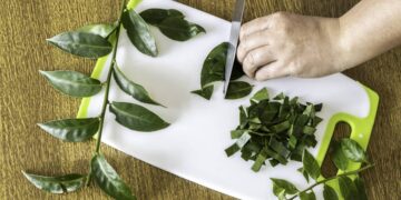 Ora-pro-nóbis: aprenda a fazer farinha da planta na air fryer