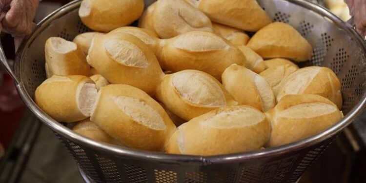 Manga: nutricionista revela os benefícios da fruta para o metabolismo