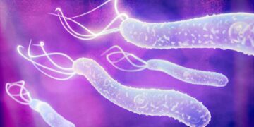 Nattan: saiba quais são os sintomas da infecção por H.pylori