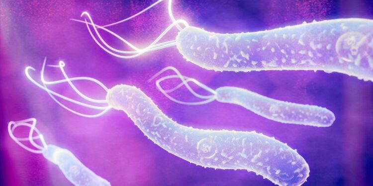 Nattan: saiba quais são os sintomas da infecção por H.pylori