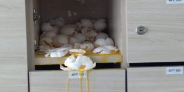 Moradores vão votar expulsão de condômino por ameaças a síndica do DF