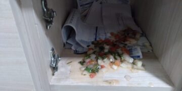 Fezes, camisinhas e pichações: síndica relata ameaças de morador no DF