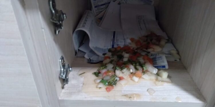 Fezes, camisinhas e pichações: síndica relata ameaças de morador no DF