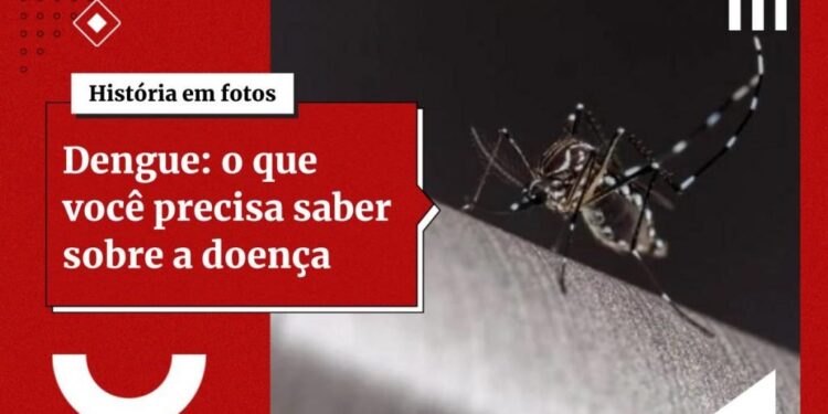 Dengue pode causar queda de cabelo? Entenda como doença afeta os fios