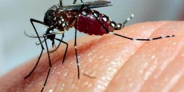 Brasil registra alta preocupante nos casos de dengue em 2024