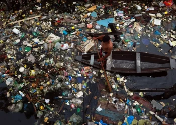 Rios amazônicos recebem 182 mil toneladas de plástico por ano, aponta pesquisa da UFPA