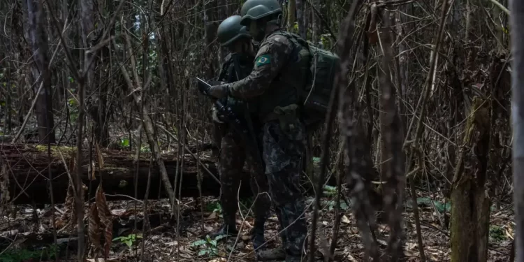 Elon Musk: Governo apreende 50 antenas Starlink em garimpos ilegais na terra Yanomami