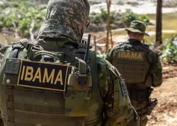 Sob Bolsonaro, Abin levantou ‘ficha corrida’ de agentes do Ibama, mostra PF