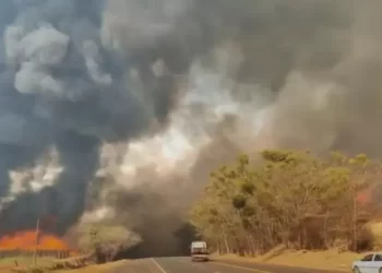 Foto: CBM-SP/Divulgação