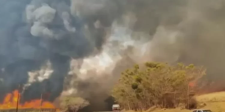 Foto: CBM-SP/Divulgação