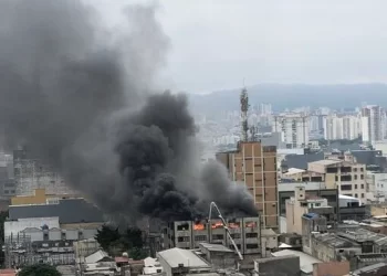 Foto: Reprodução X/luizfernandopt