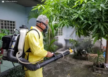 Foto: Agência Brasília