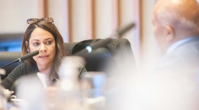 Foto: Rinaldo Morelli/Agência CLDF