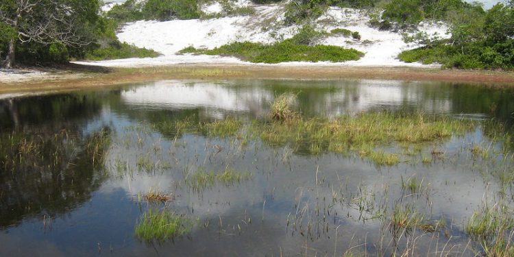 Foto: James Barros/Flickr