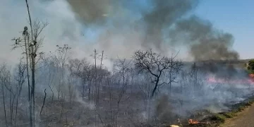 Foto: José Cruz - Agência Brasil