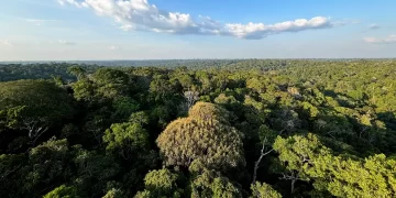 Foto: Tânia Rêgo/Agência Brasil