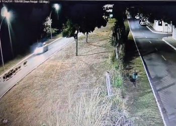 Vídeo mostra momento em que motorista atropela capivaras no Lago Sul