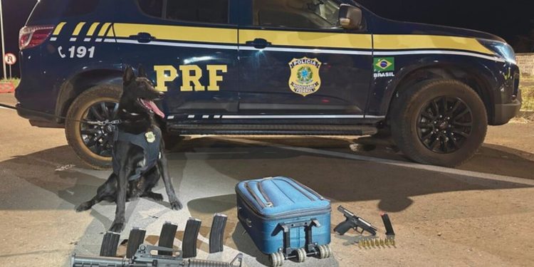 Fuzil e pistolas: PRF prende 3 com armas e munição ilegais na BR-020