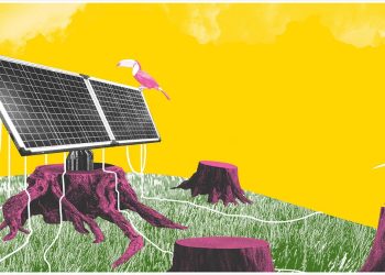 Conheça os vencedores das Microbolsas Greenwashing x Transição energética