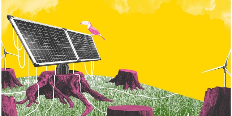 Conheça os vencedores das Microbolsas Greenwashing x Transição energética