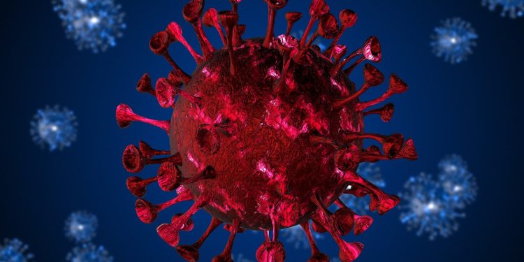 Covid: Brasil registra primeiros casos da nova variante XFG