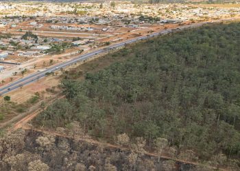 Por que multas por danos ambientais podem cair de R$ 65 mi para R$ 0