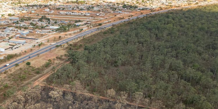 Por que multas por danos ambientais podem cair de R$ 65 mi para R$ 0