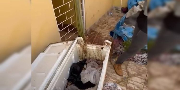 Corpo de mulher em freezer estava enrolado em cortinas e com cal. Veja
