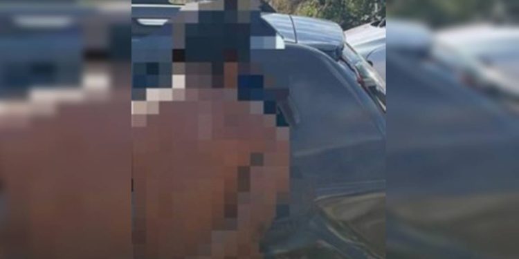 Adolescente é agredido com martelada na cabeça após defender a mãe