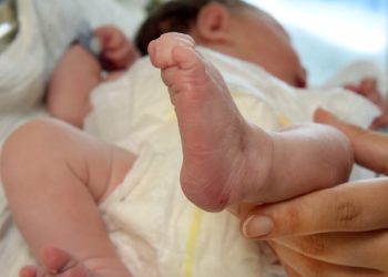 Vai ver recém-nascido? 4 dicas que você precisa saber antes da visita