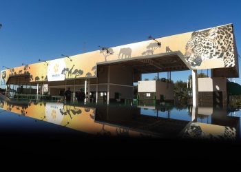 Zoológico de Brasília oferece vacina para crianças neste fim de semana