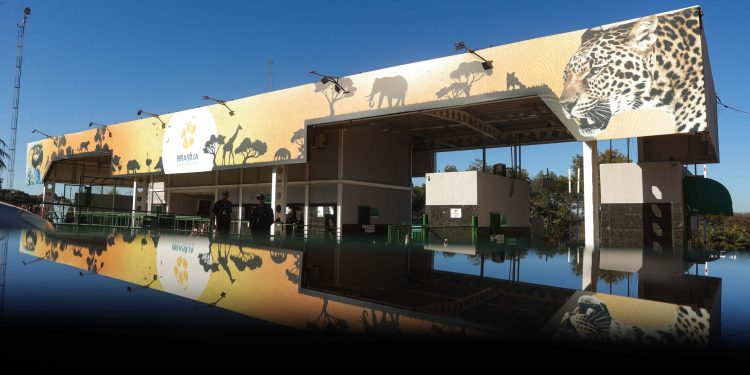 Zoológico de Brasília oferece vacina para crianças neste fim de semana