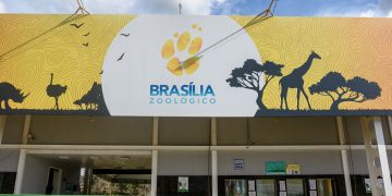 Após um mês fechado, Zoológico de Brasília reabre nesta segunda (7/7)