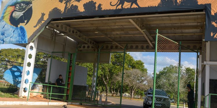 Após mais de um mês fechado, Zoo de Brasília reabre. Veja horários