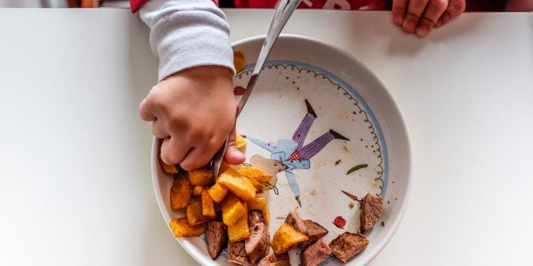 Guia de alimentação infantil para as férias escolares